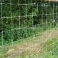 Grassland Fence-Hot dicelup Galvanized Kraal Network Fence